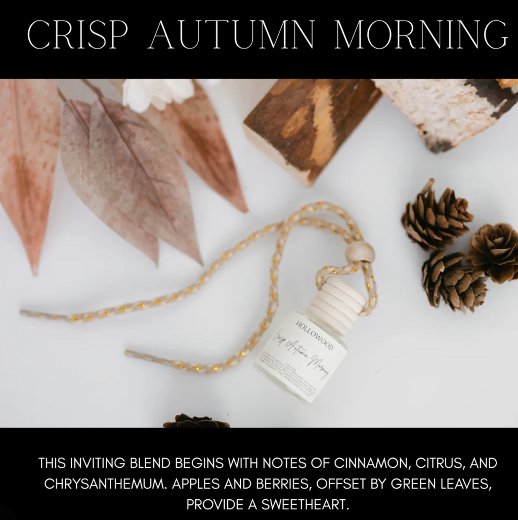 Car Diffusers