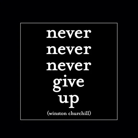 Quotable Magnet - Never Give Up